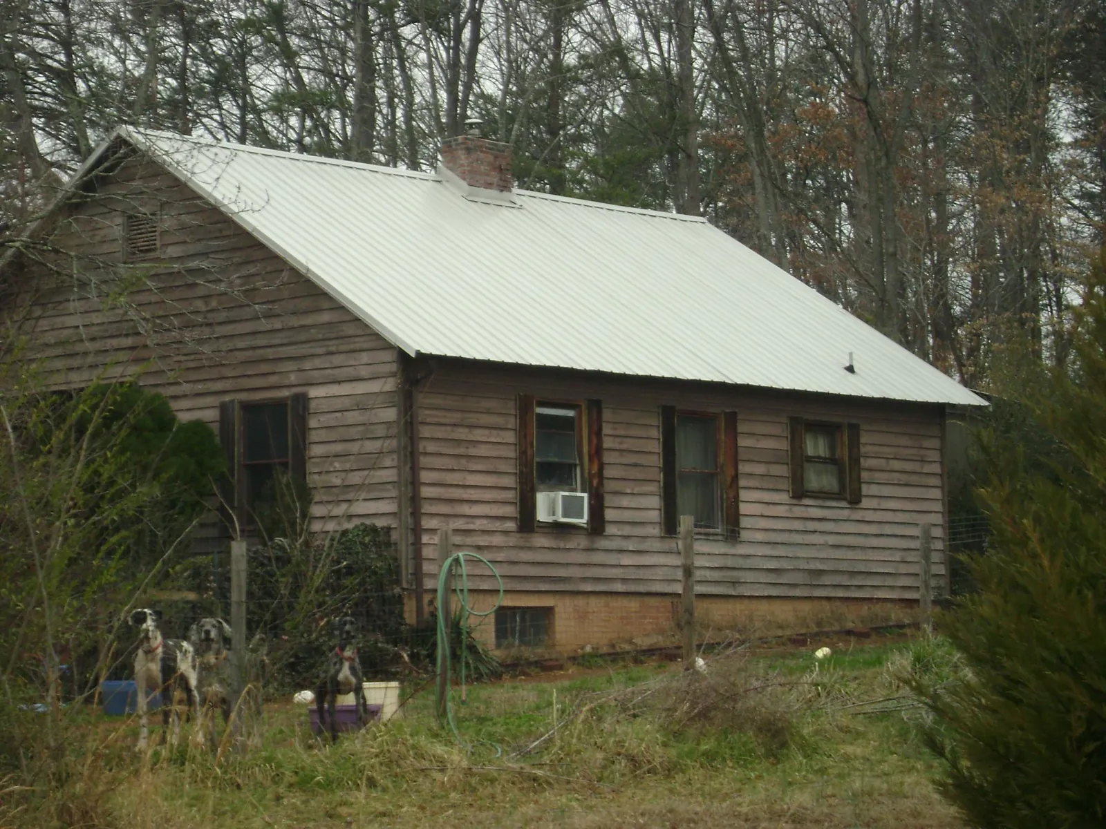 White metal roof on an old wood sided farmhouse, from a Asphalt Shingle Roof Repair job in Deforest
